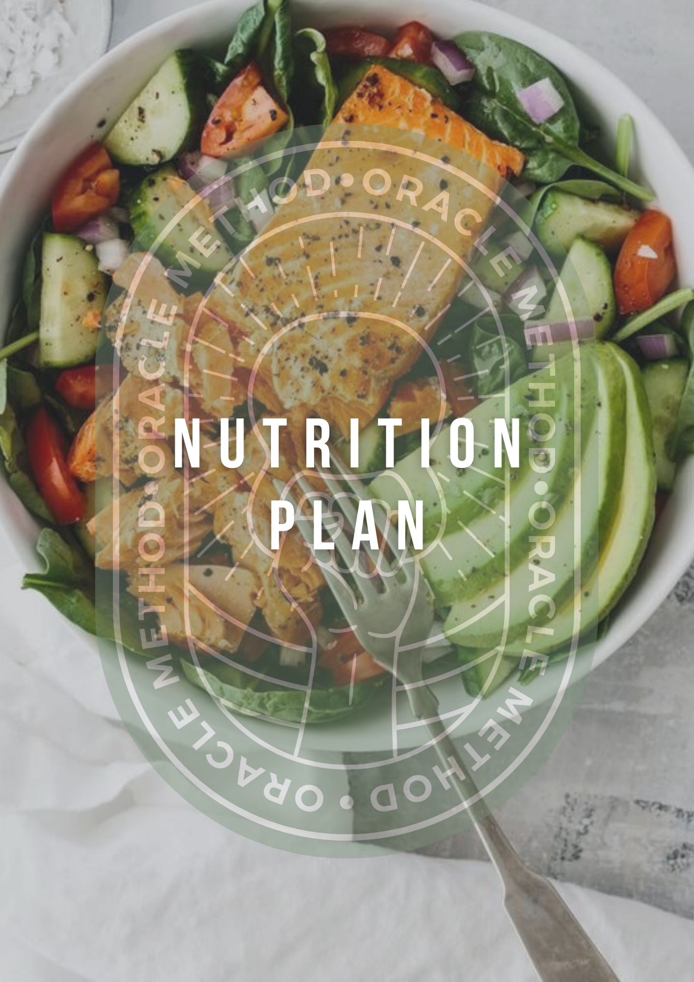 Nutrition Plan – (once-off)